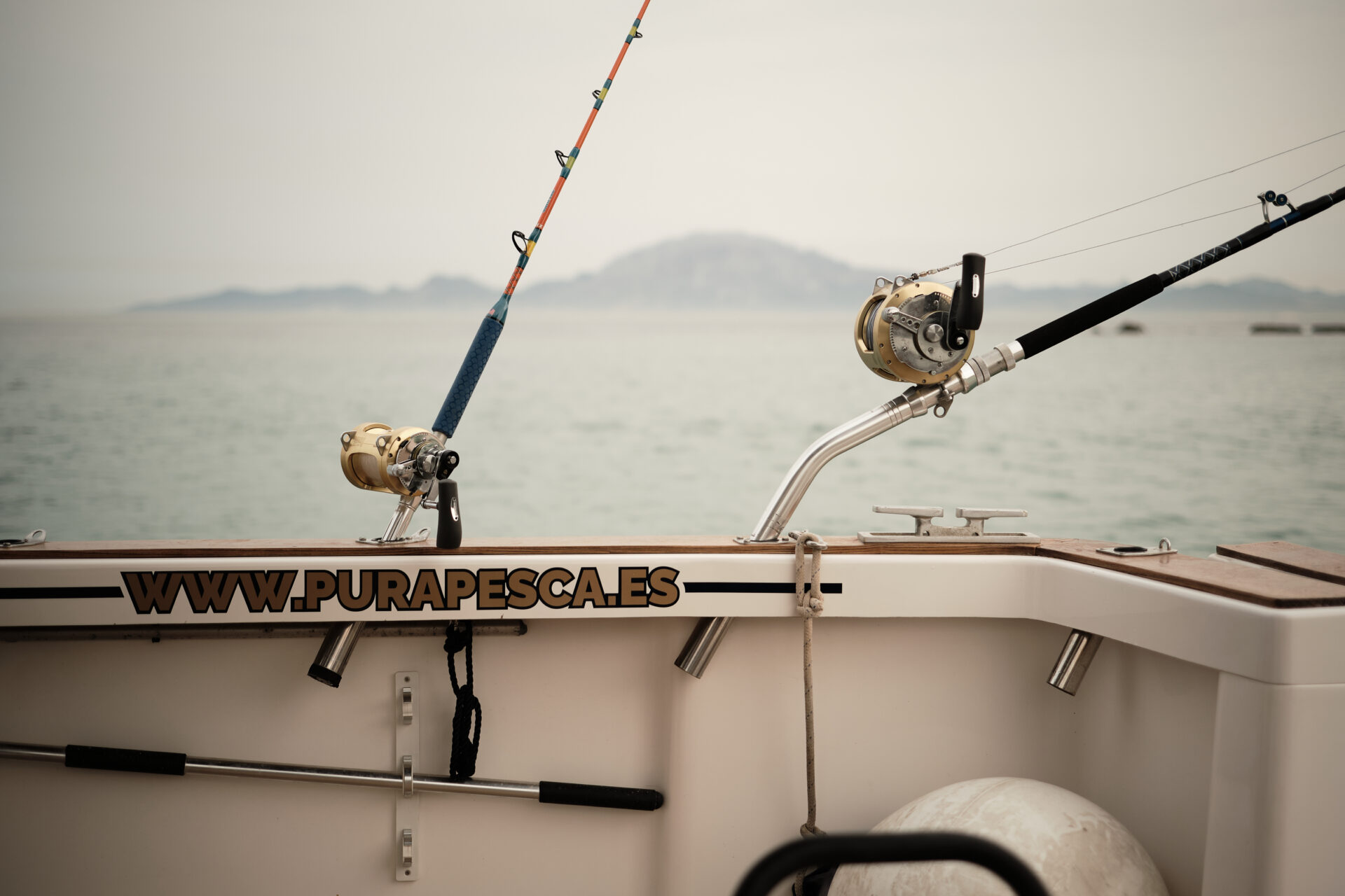 Reservar excursión de pesca - Rodman 12,50m • Pura Pesca